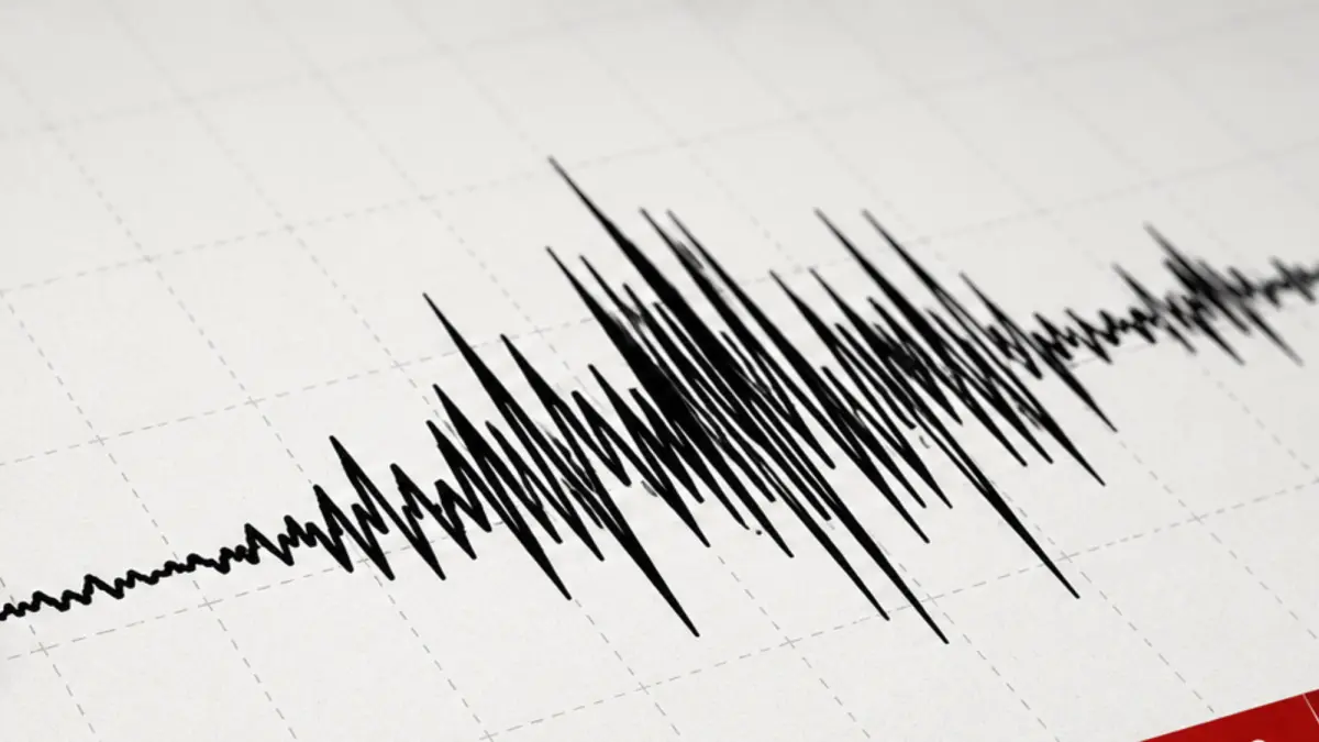 Japan Earthquake