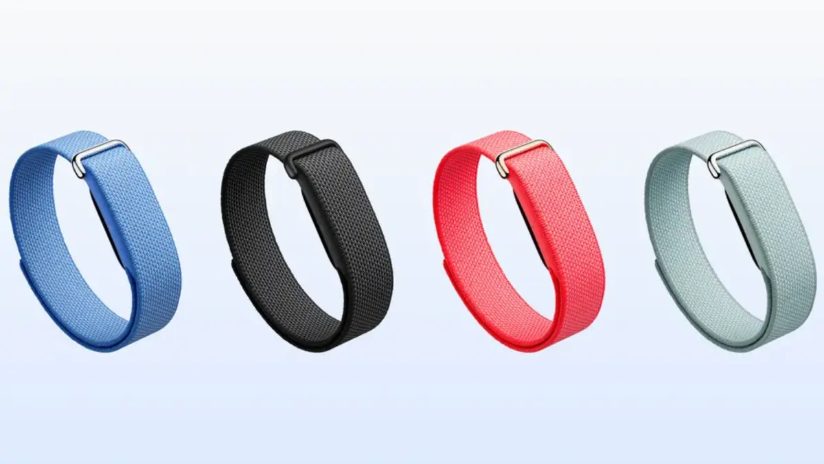 Google Fitbit air