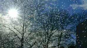 Tamil Nadu Weather November 19, 2019, Shows Moderate Rain