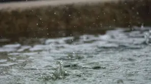 Tamil Nadu Weather Forecast: Heavy Rain in Tamil Nadu and Kerala