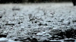 Tamil Nadu Weather: Heavy Rain Spells Only in Three Districts