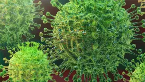 Covid-19 is a Chimera