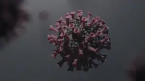 Lodging of new COVID cases are increasing in Tamil Nadu