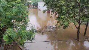 Image Credit: Vinoth Kumar