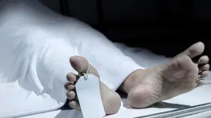 Anna EY Employee Death